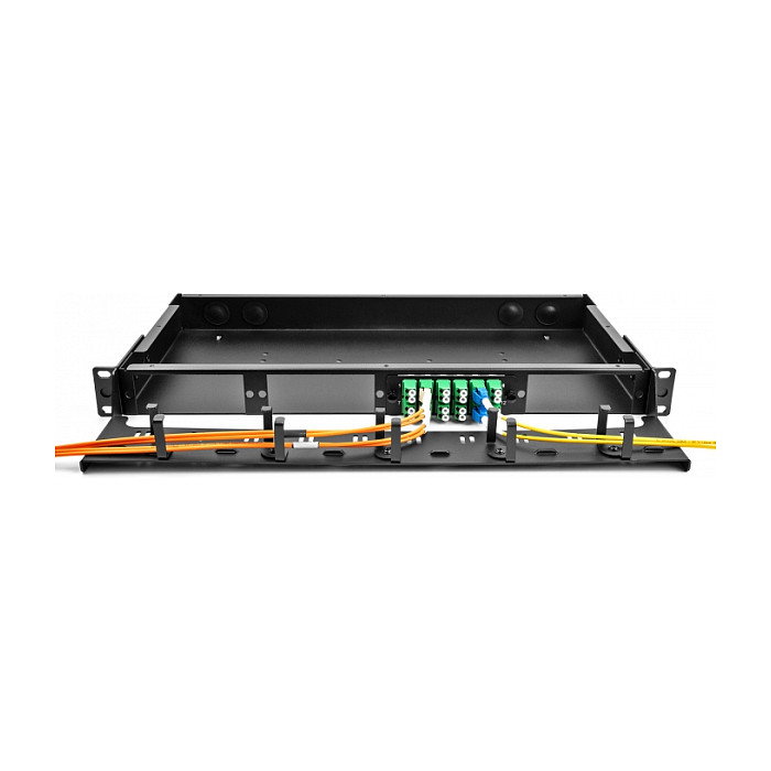 DeLOCK Panel de Enrutamiento de Fibra Óptica 19" 1U, Montaje en Rack, Negro, Metal, Referencia 48.30cm