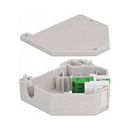 DeLOCK Adaptador de carril DIN Keystone LC Duplex hembra a LC Duplex hembra verde