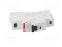 ABB SZ201-C63 Interruptor magnetotérmico 63A 1P Característica C