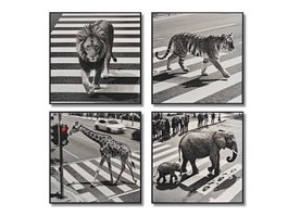 DKD Home Decor Cuadro Lienzo Animal Ciudad 4 Surtido