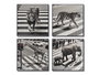 DKD Home Decor Cuadro Lienzo Animal Ciudad 4 Surtido