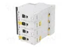 SCHNEIDER ELECTRIC iC60N 32A 4 Polos Característica D