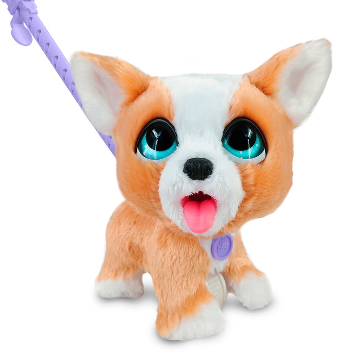 Just Play FurReal Poop-A-Lots Corgi Interactivo 28057: Mascota que come y hace popó, +4 años, Idiomas múltiples Just Play FurReal Poop-A-Lots Corgi Interactivo 28057: Mascota que come y hace popó, +4 años, Idiomas múltiples