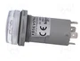 SCHNEIDER ELECTRIC Indicador de tensión Harmony XB5 30mm