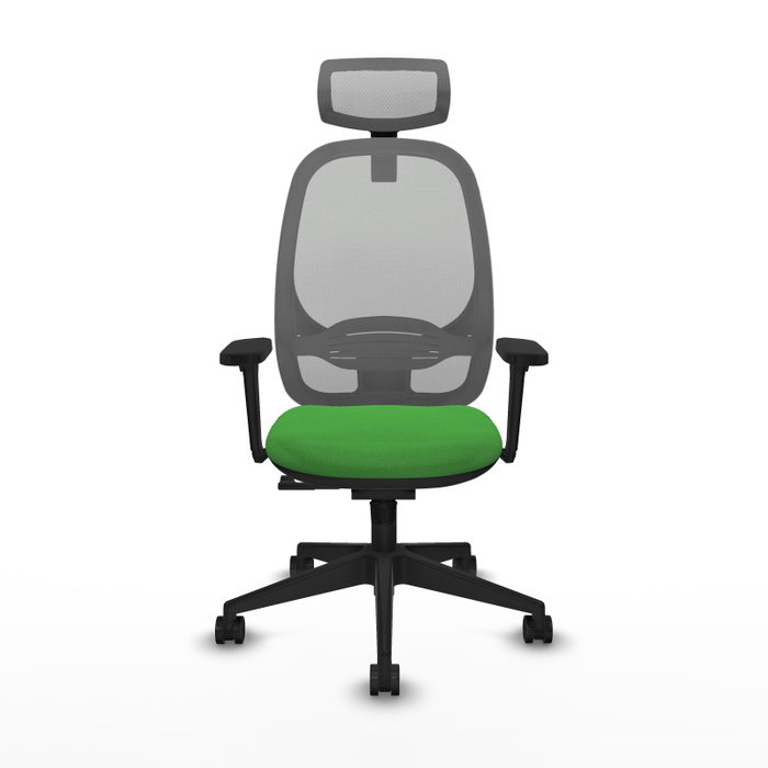 PIQUERAS Y CRESPO Silla de oficina Cilanco con Mecanismo Sincro, Verde y Gris PIQUERAS Y CRESPO Silla de oficina Cilanco con Mecanismo Sincro, Verde y Gris