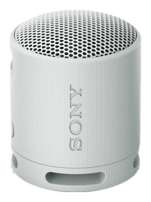 Sony SRS-XB100 Altavoz Portátil Bluetooth Gris Claro