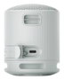 Sony SRS-XB100 Altavoz Portátil Bluetooth Gris Claro