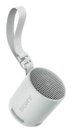 Sony SRS-XB100 Altavoz Portátil Bluetooth Gris Claro