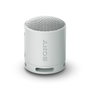 Sony SRS-XB100 Altavoz Portátil Bluetooth Gris