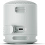 Sony SRS-XB100 Altavoz Portátil Bluetooth Gris Claro
