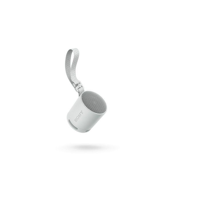 Sony SRS-XB100 Altavoz Portátil Bluetooth Gris