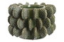 DKD Home Decor Jarrón de Gres Cactus Verde 24x24x17 cm