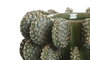 DKD Home Decor Jarrón de Gres Cactus Verde 24x24x17 cm