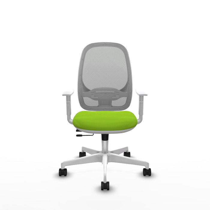 PIQUERAS Y CRESPO Silla de oficina Cilanco Pistacho y Gris PIQUERAS Y CRESPO Silla de oficina Cilanco Pistacho y Gris
