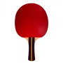 Raqueta de Ping Pong Softee P200