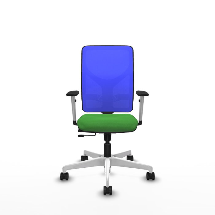 PIQUERAS Y CRESPO Silla de oficina Motilla con mecanismo Sincro/Traslack Verde y Azul PIQUERAS Y CRESPO Silla de oficina Motilla con mecanismo Sincro/Traslack Verde y Azul