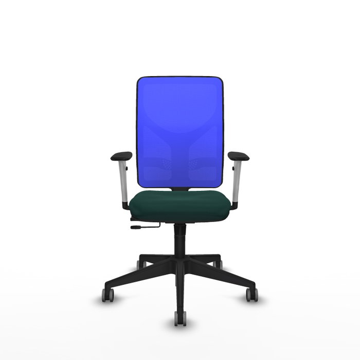 PIQUERAS Y CRESPO Silla de oficina Motilla con mecanismo Sincro/Traslack, Verde botella y Azul
