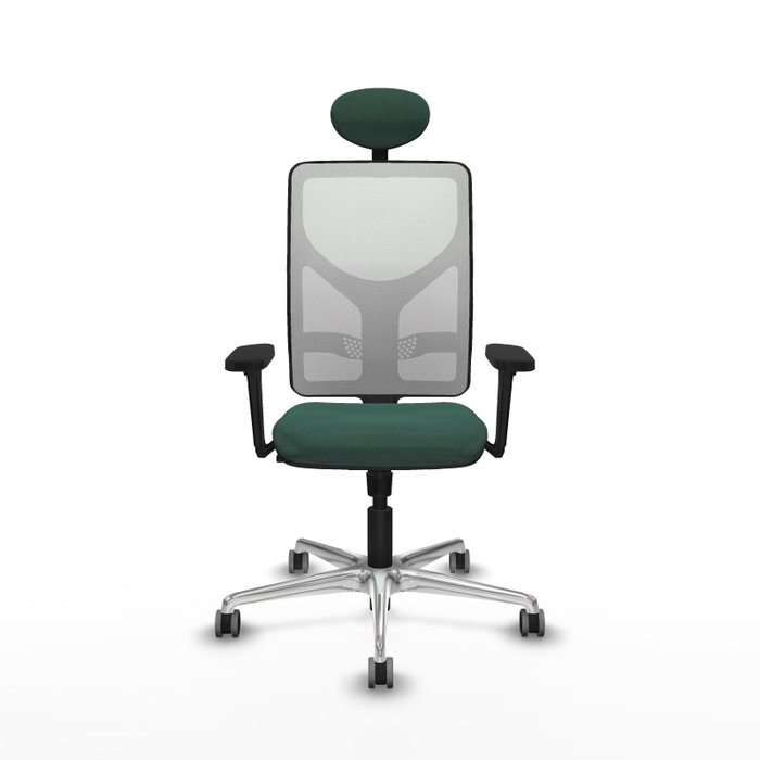PIQUERAS Y CRESPO Silla de oficina Motilla con Mecanismo Sincro, Verde botella y Blanco PIQUERAS Y CRESPO Silla de oficina Motilla con Mecanismo Sincro, Verde botella y Blanco