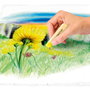 Staedtler 2430 Pintura al pastel Suave Multicolor 12 piezas