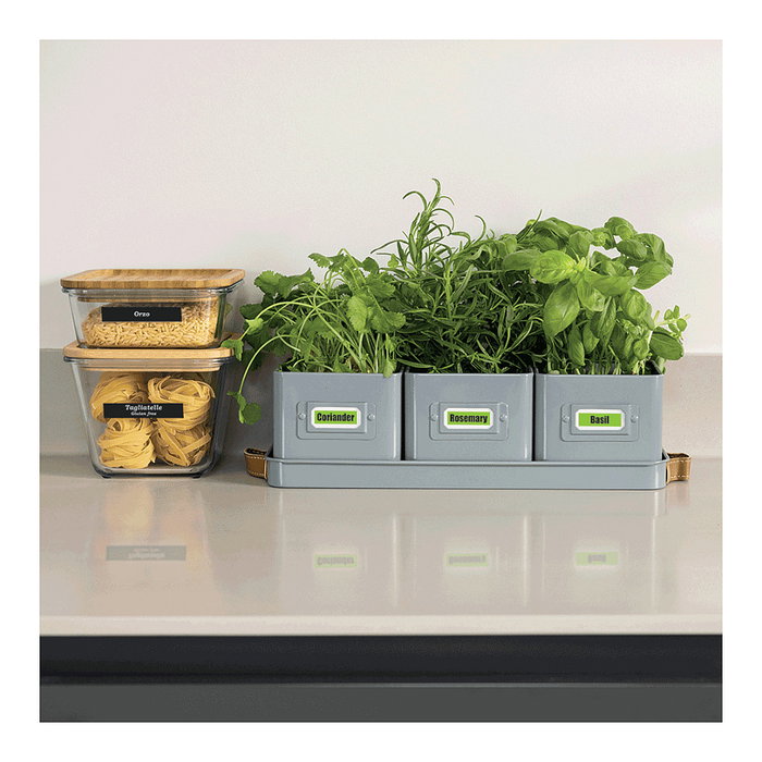 Brother Cinta de Etiquetas BTAG-G31, 12 mm x 4 m, Negro sobre Verde, Compatible con P-touch PT-N10, PT-N20, PT-N25BT