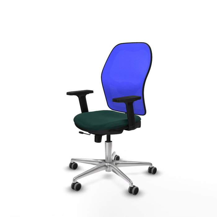 PIQUERAS Y CRESPO Silla de oficina Jorquera con mecanismo Sincro/Traslack, Verde botella y Azul PIQUERAS Y CRESPO Silla de oficina Jorquera con mecanismo Sincro/Traslack, Verde botella y Azul
