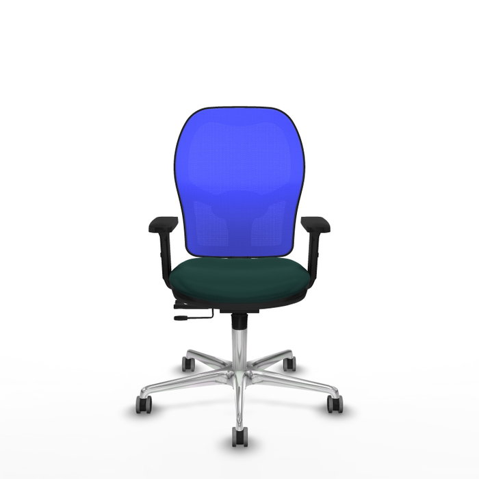PIQUERAS Y CRESPO Silla de oficina Jorquera con mecanismo Sincro/Traslack, Verde botella y Azul PIQUERAS Y CRESPO Silla de oficina Jorquera con mecanismo Sincro/Traslack, Verde botella y Azul