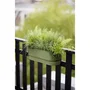 Elho Greenville Easy Balcony 52 Jardinera Verde Hoja Balcón L 21,2 x W 52 x H 19,4 cm