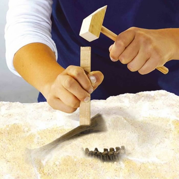 Ses Creative Excavación 2 en 1 de dinosaurios y esqueletos - Stegosaurus