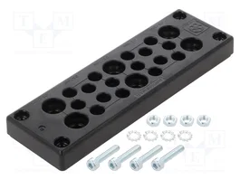 LAPP SKINTOP® MULTI Conducto de varios orificios de policarbonato