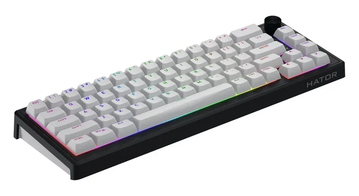 Hator Skyfall 65 Wireless Teclado Mecánico Inalámbrico Blanco Negro RGB Hator Skyfall 65 Wireless Teclado Mecánico Inalámbrico Blanco Negro RGB