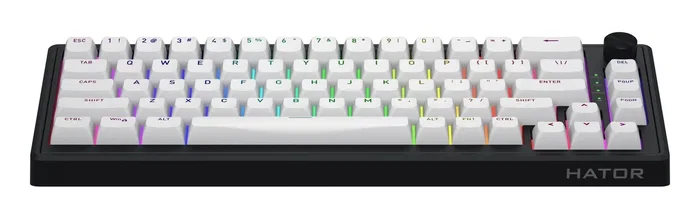 Hator Skyfall 65 Wireless Teclado Mecánico Inalámbrico Blanco Negro RGB Hator Skyfall 65 Wireless Teclado Mecánico Inalámbrico Blanco Negro RGB