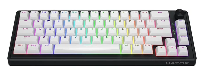 Hator Skyfall 65 Wireless Teclado Mecánico Inalámbrico Blanco Negro RGB Hator Skyfall 65 Wireless Teclado Mecánico Inalámbrico Blanco Negro RGB