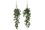DKD Home Decor Ramas Colgantes de Poliéster PE Surtido de 2 Colores