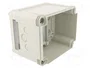 OBO BETTERMANN SDB Carcasa para aparatos modulares IP66 transparente