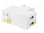 SCHNEIDER ELECTRIC Interruptor magnetotérmico iC60N 2 polos 4A Caract B
