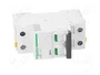 SCHNEIDER ELECTRIC Interruptor magnetotérmico iC60N 2 polos 4A Caract B