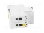 SCHNEIDER ELECTRIC Interruptor magnetotérmico iC60N 2 polos 4A Caract B