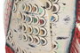 DKD Home Decor Decoración de Metal Blanco y Multicolor