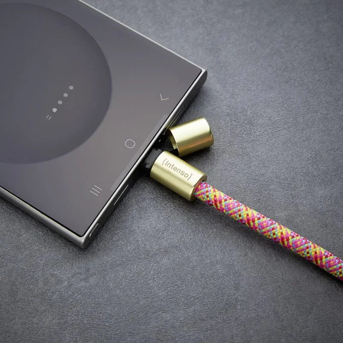 Intenso Handykette Collar Cable USB-C a USB-C 1.65m (Ref. 7991005) - Carga rápida 60W, Multicolor