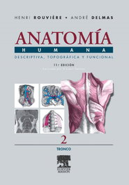 MASSON EDITORIAL Anatomía humana descriptiva topográfica funcional: tronco