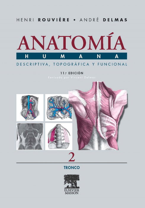 MASSON EDITORIAL Anatomía humana descriptiva topográfica funcional: tronco