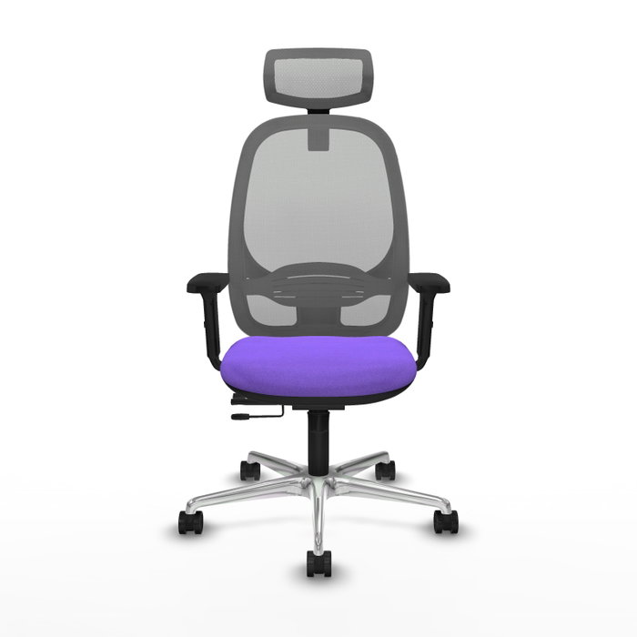 PIQUERAS Y CRESPO Silla de oficina Cilanco con mecanismo Sincro/Traslack, Tela Lila y Malla Gris PIQUERAS Y CRESPO Silla de oficina Cilanco con mecanismo Sincro/Traslack, Tela Lila y Malla Gris