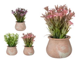 Ibergarden Maceta Terracota Baja con Flores Surtidas Colores Blanco Lila Rosa 15 cm x 23 cm x 15 cm (Set de 12)