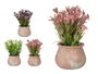 Ibergarden Maceta Terracota Baja con Flores Surtidas Colores Blanco Lila Rosa 15 cm x 23 cm x 15 cm (Set de 12)