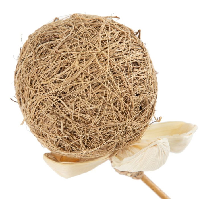 Ixia Rama Flor Beige Fibra Natural 8 x 8 x 156 cm Ixia Rama Flor Beige Fibra Natural 8 x 8 x 156 cm