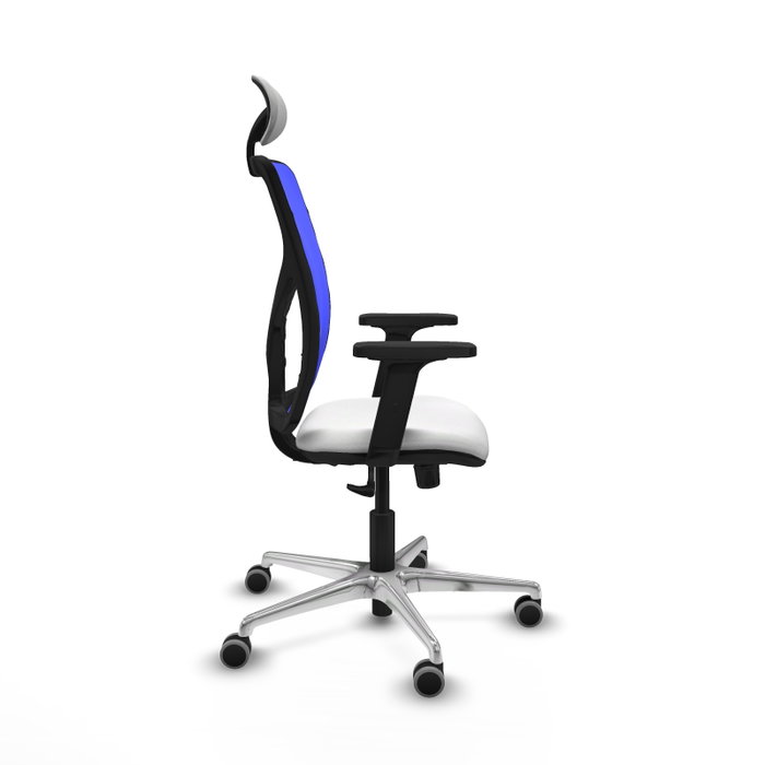 PIQUERAS Y CRESPO Silla de oficina Motilla con mecanismo Sincro, Azul y Blanco PIQUERAS Y CRESPO Silla de oficina Motilla con mecanismo Sincro, Azul y Blanco