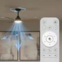 Philips Olas Ventilador de techo con LED integrado, aspas fijas y mando a distancia, Negro/Madera (106 cm)