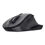 Trust Fyda Ratón Ergonómico Inalámbrico Negro 2400 DPI