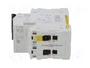SCHNEIDER ELECTRIC iC60N ACTI9 MCB 4A 2 Polos Curva C