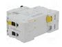 SCHNEIDER ELECTRIC iC60N ACTI9 MCB 4A 2 Polos Curva C